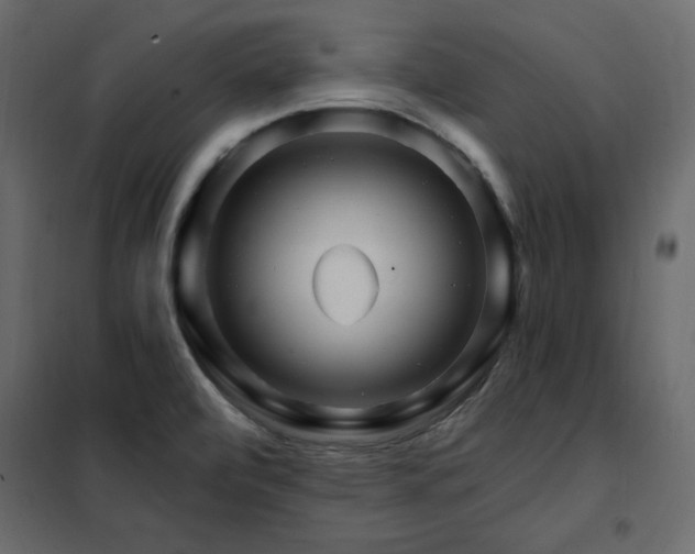 X0000102491472200808081317