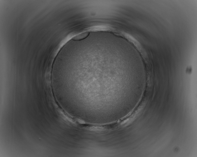 X0000102491473200808081317
