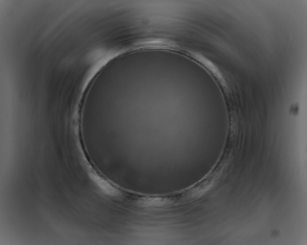 X0000102491474200808081317