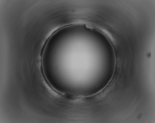 X0000102491476200808081317