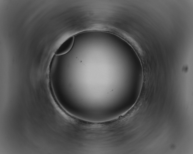 X0000102491479200808081317