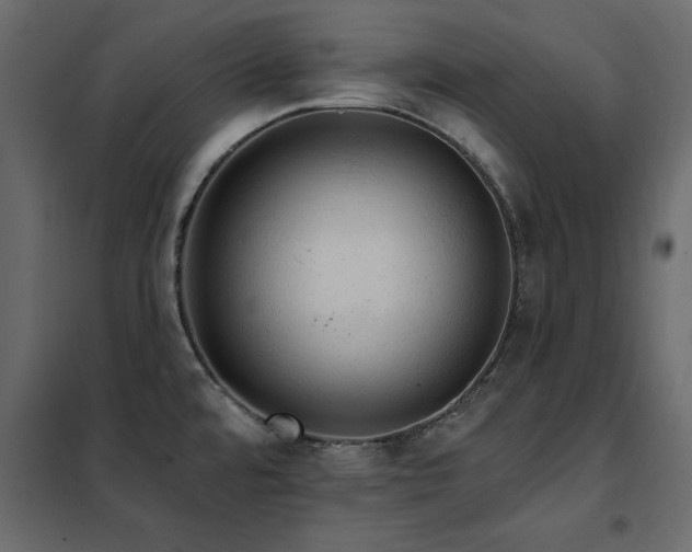 X0000102491480200808081317