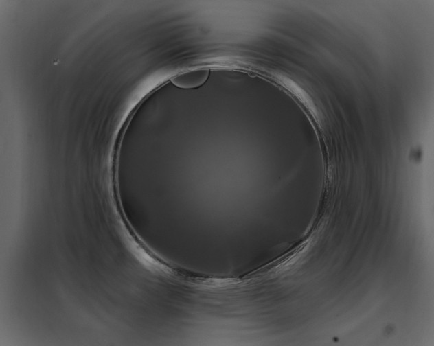 X0000102491482200808081317