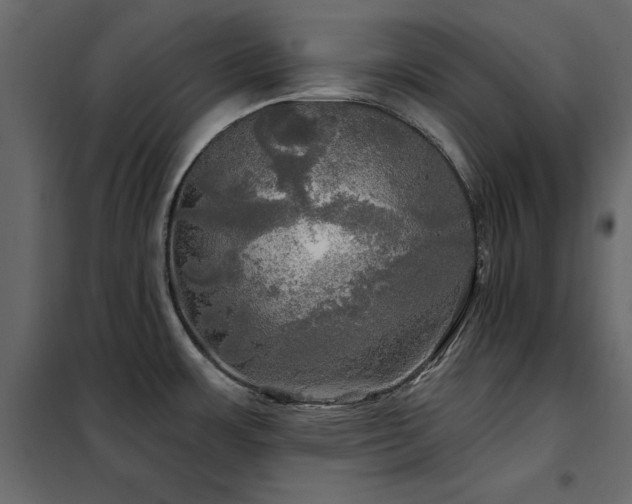 X0000102491483200808081317