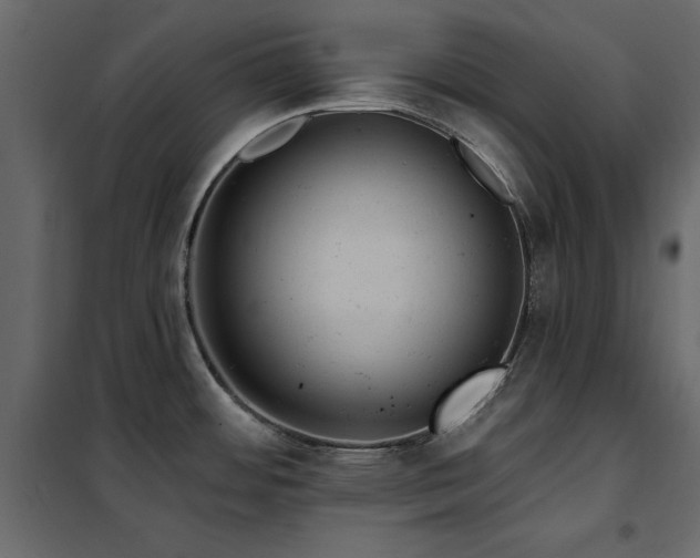 X0000102491484200808081317