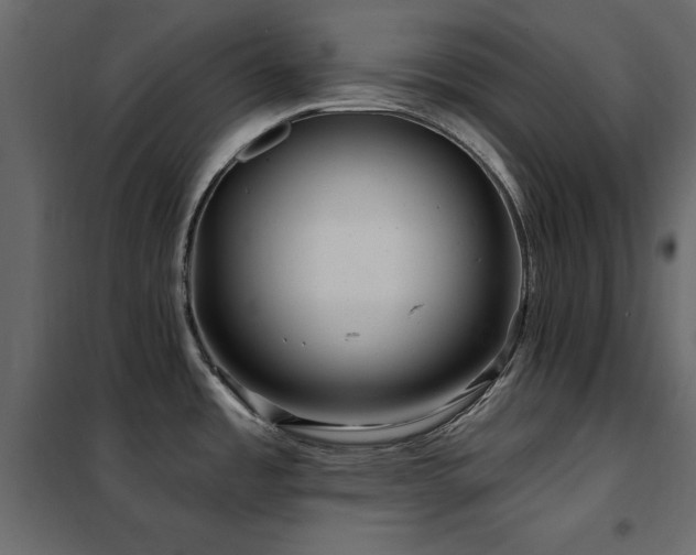 X0000102491485200808081317