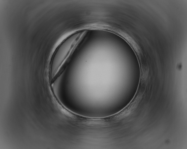 X0000102491486200808081317