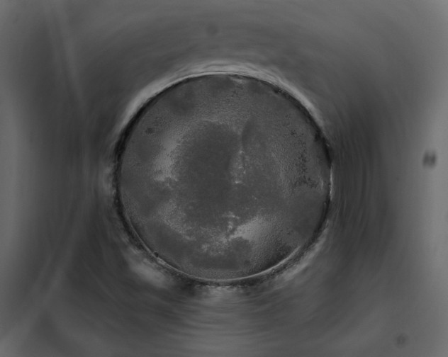 X0000102491501200808081317