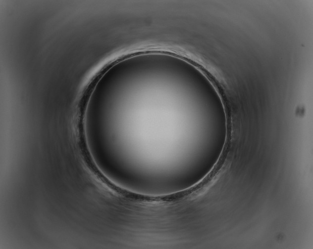 X0000102491502200808081317