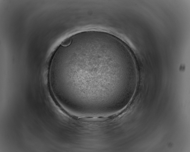 X0000102491504200808081317