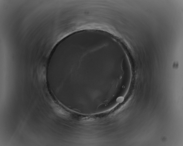 X0000102491505200808081317