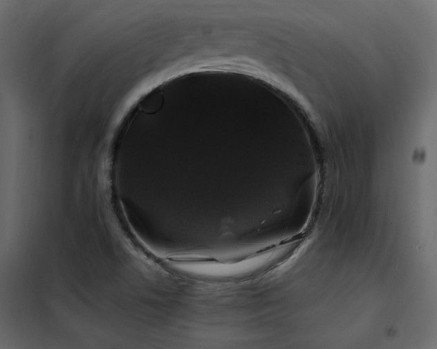 X0000102491506200808081317