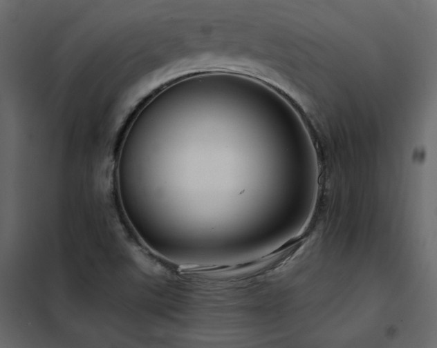 X0000102491507200808081317