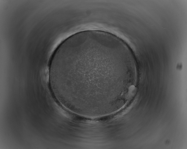 X0000102491509200808081317