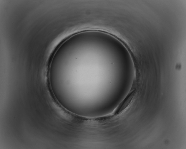 X0000102491511200808081317