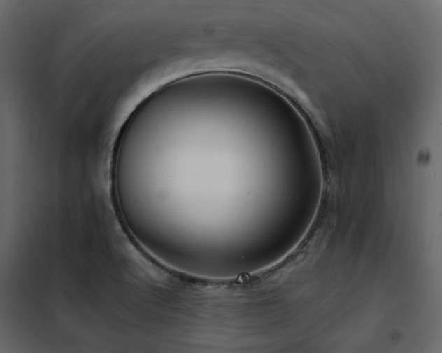 X0000102491512200808081317