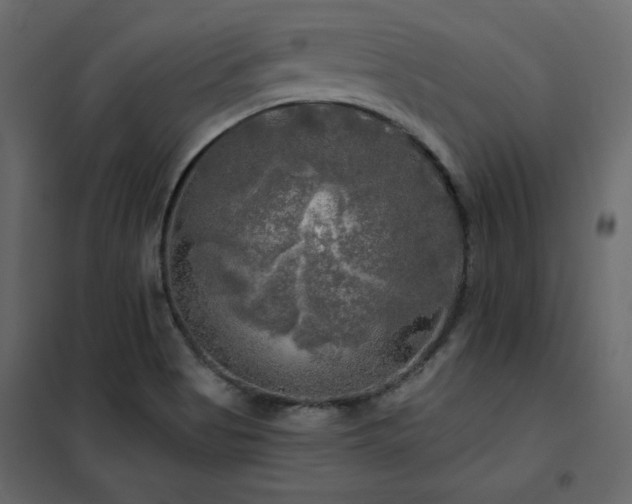 X0000102491513200808081317