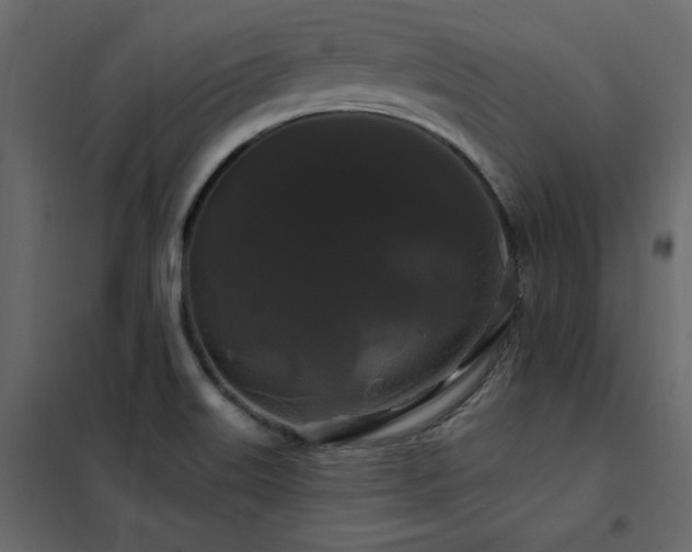 X0000102491515200808081317