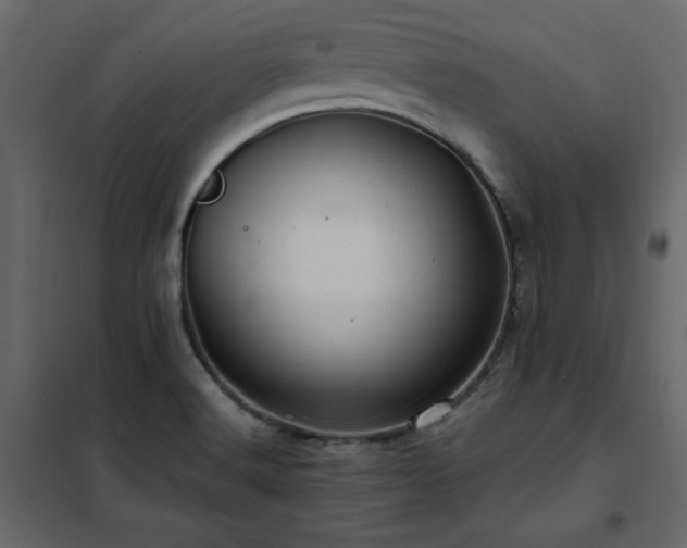 X0000102491516200808081317