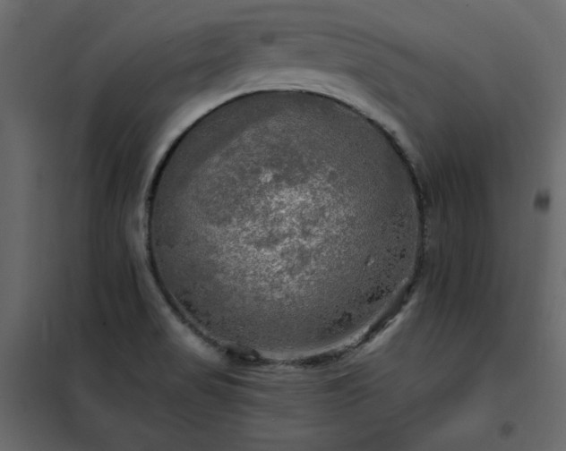 X0000102491517200808081317