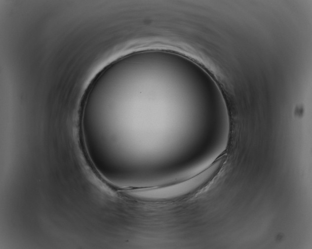 X0000102491518200808081317