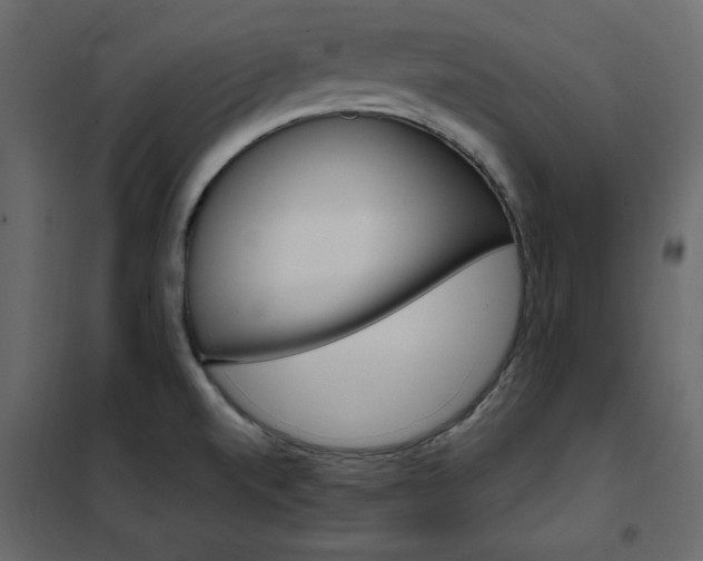 X0000102491520200808081317