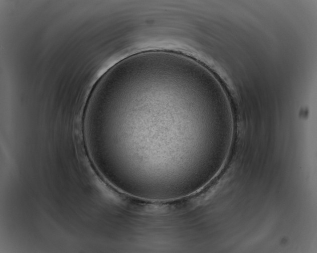 X0000102491521200808081317