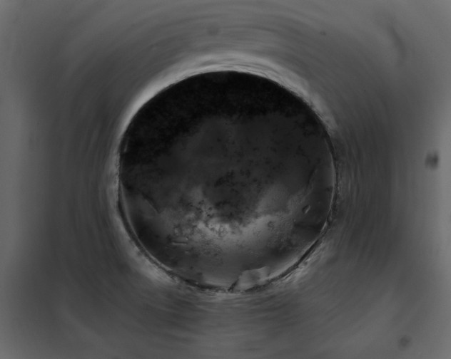 X0000102491522200808081317