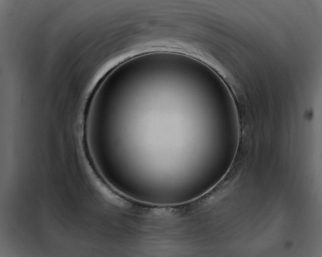 X0000102491523200808081317
