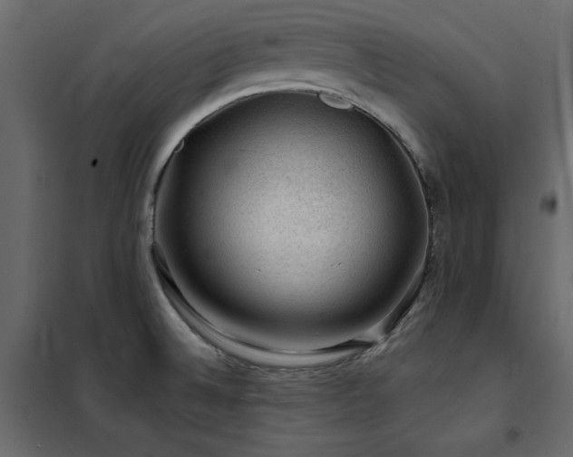 X0000102491524200808081317
