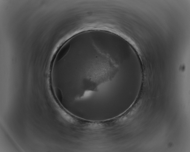 X0000102491525200808081317