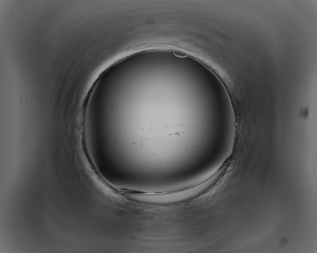 X0000102491526200808081317