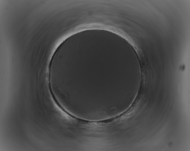X0000102491527200808081317