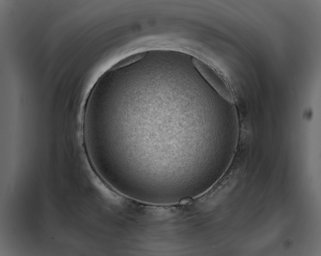 X0000102491528200808081317