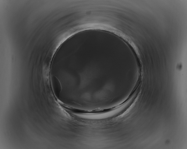X0000102491529200808081317