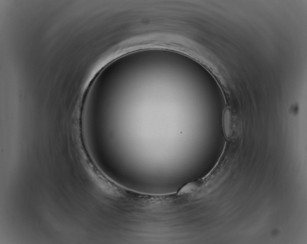 X0000102491530200808081317