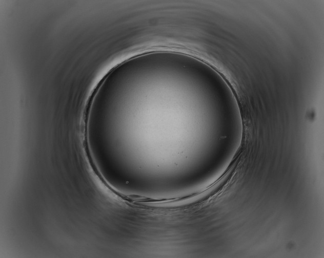 X0000102491531200808081317