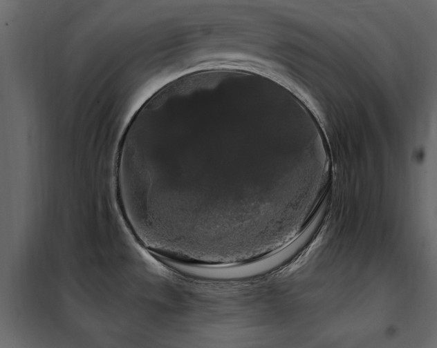 X0000102491533200808081317