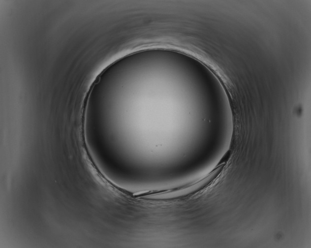 X0000102491534200808081317