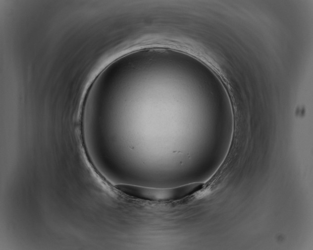 X0000102491536200808081317