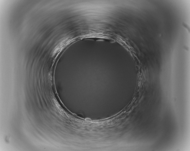 X0000102490002200808151507