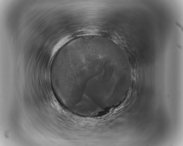 X0000102490004200808151507