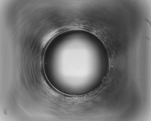 X0000102490005200808151507