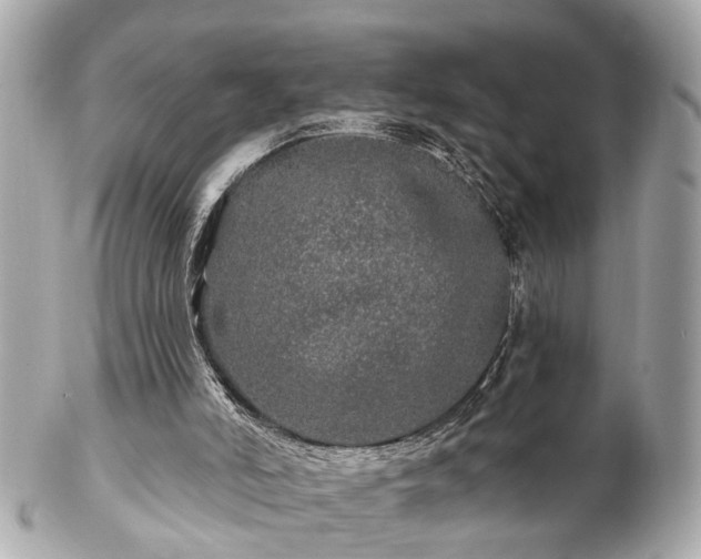 X0000102490006200808151507