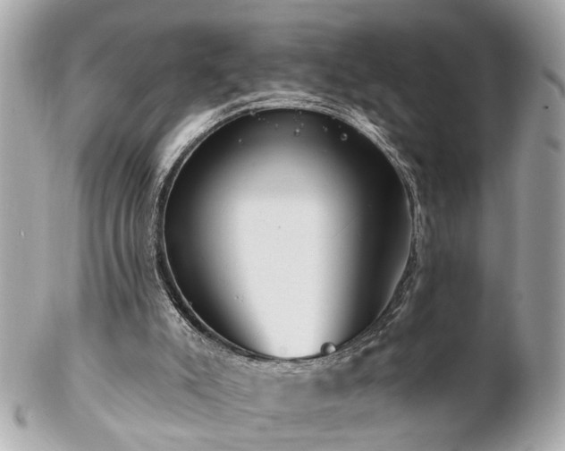 X0000102490007200808151507