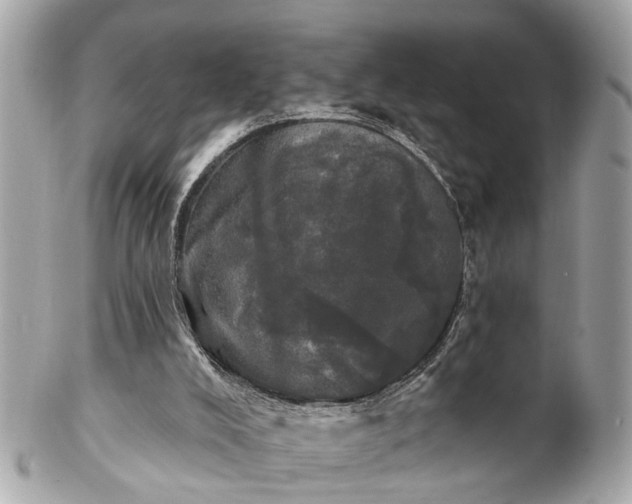 X0000102490008200808151507