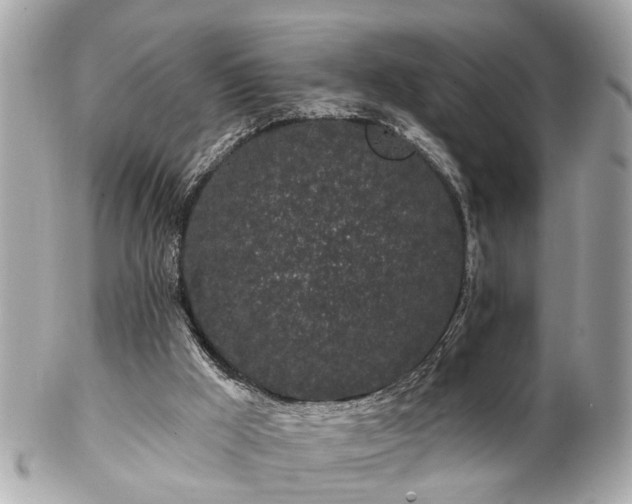 X0000102490009200808151507