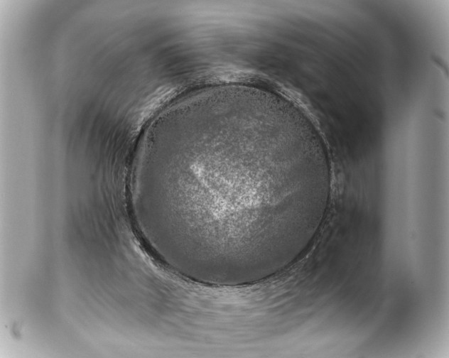 X0000102490010200808151507