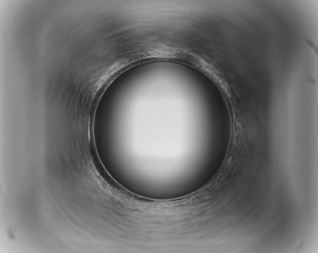 X0000102490011200808151507