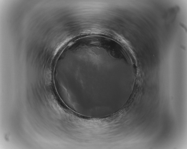 X0000102490012200808151507